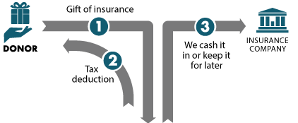 Gift of Life Insurance Diagram